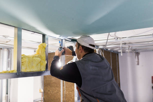 Best Insulation Removal  in Garden Grove, FL